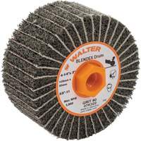 Two-In-One Finishing Drums, 4-1/4" Dia. x 2" W, 5/8"-11 Arbor, 80 Grit PB Rental Co. Ltd.