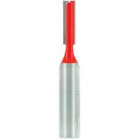 Router Bit - Double Flute Straight Bit, 5/16" Dia., 1" H, 2-3/4" L PB Rental Co. Ltd.