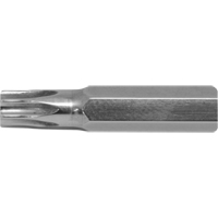 Stubby Multi-Bit Screwdriver -Replacement Bit, Torx, 10, 1/4" Drive PB Rental Co. Ltd.