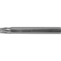 Multique Multi-Bit Screwdriver -Replacement Bit, Torx, 6, 3/16" Drive PB Rental Co. Ltd.