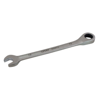 Combination Fixed Head Ratcheting Wrench, 12 Point, 8 mm, Stainless Steel Finish PB Rental Co. Ltd.