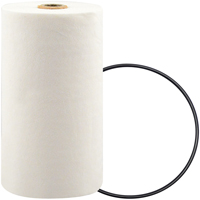 P7247 Filtre pour liquide de refroidissement &agrave; visser avec additif BTE PB Rental Co. Ltd.