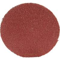 Roloc Disc 361F, 1-1/2" Dia., P100 Grit, Aluminum Oxide PB Rental Co. Ltd.