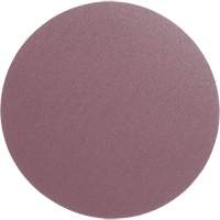 PSA Cloth Disc 348D, 12" Dia., 60 Grit, Aluminum Oxide, X-Weight PB Rental Co. Ltd.