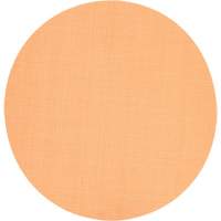 Trizact Hookit Film Disc 268XA, 5" Dia., A5 Grit, Aluminum Oxide, 3 mils PB Rental Co. Ltd.