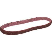 Scotch-Brite Surface Conditioning Belt PB Rental Co. Ltd.