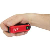 Redlithium USB Charger & Power Source, 4 V, Lithium-Ion PB Rental Co. Ltd.