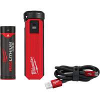Trousse d'alimentation et de chargeur USB Redlithium, 4 V, Lithium-ion PB Rental Co. Ltd.