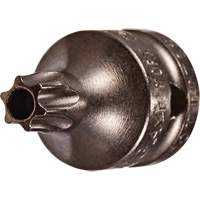 Socket Bit, Torx&reg; Tamper, 8 x 3/4" L, 1/4" Drive PB Rental Co. Ltd.