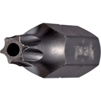 Tamper Insert Bit PB Rental Co. Ltd.