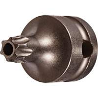 Socket Bit, Torx&reg; Tamper, 25 x 1" L, 3/8" Drive PB Rental Co. Ltd.