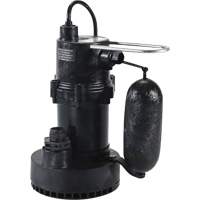 Pompe de puisard de s&eacute;rie 5.5, 35 gal./min, 115 V, 3,5 A, 1/4 CV PB Rental Co. Ltd.
