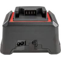 2.5 Ah & 5.0 Ah Battery Charger, 120 V, Lithium-Ion PB Rental Co. Ltd.