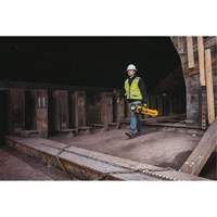 20V Max Cordless Tripod Light, LED, 3000 Lumens, Plastic Housing PB Rental Co. Ltd.