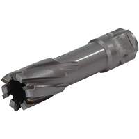 Couteau annulaire &agrave; tige universelle, Diam&egrave;tre de 1/2", Carbure, Profondeur de la coupe de 1", Tige 3/4" PB Rental Co. Ltd.