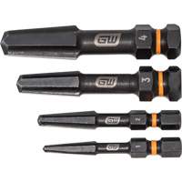 Bolt Biter Screw Extractor Set, High Speed Steel, 4 Pieces PB Rental Co. Ltd.