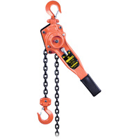 VLP Series Lever Chain Hoist, 10' Lift, 1653.46 lbs. (0.75 tons) Capacity PB Rental Co. Ltd.