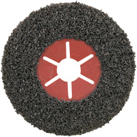 Disque semi-flexible PowerFlex, 5" x Arbre 7/8", Carbure de silicium, Type 29 PB Rental Co. Ltd.