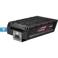Bloc-pile HD8.0 MX Fuel RedLithium Forge PB Rental Co. Ltd.
