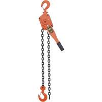 VLP Series Chain Hoists, 5' Lift, 6000 lbs. (3 tons) Capacity, Steel Chain PB Rental Co. Ltd.