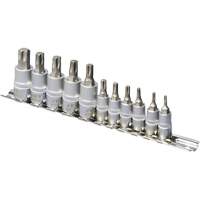 SS1438-11T Jeu de douilles chrom&eacute;es, Torx, Prise 1/4"/3/8", 10 mr PB Rental Co. Ltd.