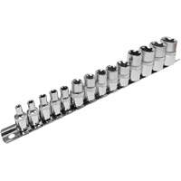 SS314TS  Standard External Socket Sets, Torx&reg;, 1/2"/1/4"/3/8" Drive, 14 Pcs PB Rental Co. Ltd.