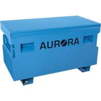 Coffre &agrave; outils de chantier, 48" x 24" x 27-3/5", Acier, Bleu PB Rental Co. Ltd.