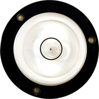 Bull's-Eye Level PB Rental Co. Ltd.
