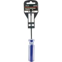 Tournevis &agrave; fente bleu transparent avec bandes, Tige de 3/16", Ronde, Prise en Plastique PB Rental Co. Ltd.