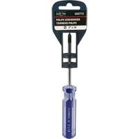 Blue Transparent Striped Philips Screwdriver, #1, Plastic Handle PB Rental Co. Ltd.