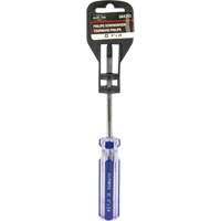 Blue Transparent Striped Philips Screwdriver, #2, Plastic Handle PB Rental Co. Ltd.