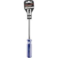 Blue Transparent Striped Philips Screwdriver, #3, Plastic Handle PB Rental Co. Ltd.