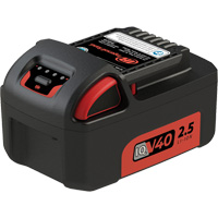 Bloc-pile, Lithium-ion, 40 V PB Rental Co. Ltd.