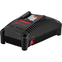 IQV&reg;40 Battery Charger, 40 V, Lithium-Ion PB Rental Co. Ltd.