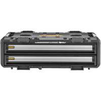 TOUGHSYSTEM&reg; 2.0 DXL 2 Drawers Unit, 30" x 21-13/20" x 10", Black/Yellow PB Rental Co. Ltd.
