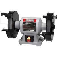 Bench Grinder, 10" Wheel Diameter, 1-1/2 HP, 1750 RPM PB Rental Co. Ltd.