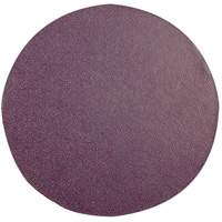 Replacement Sanding Pad, 6" Dia. PB Rental Co. Ltd.
