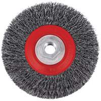 Brosse m&eacute;tallique &agrave; fils torsad&eacute;s &agrave; haut rendement 5C14T, 5" dia., Fils 0,014", Arbre 5/8"-11NC PB Rental Co. Ltd.