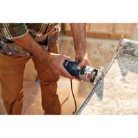 Colt Electronic Variable-Speed Palm Router PB Rental Co. Ltd.