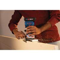 Brushless Colt Palm Router PB Rental Co. Ltd.