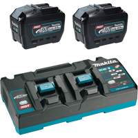 XGT Dual Port Rapid Charger Starter Kit with (2) 8 Ah Batteries, 40 V, Lithium-Ion PB Rental Co. Ltd.