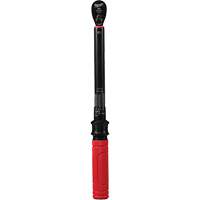 Torque Wrench, Click, 3/8" Square Drive, 20 - 100 in-lbs/27.1 - 135.6 N.m PB Rental Co. Ltd.