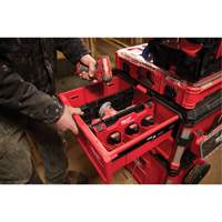 Divider for PACKOUT Drawer Tool Boxes PB Rental Co. Ltd.