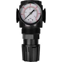 MODULAIR 300 Compressed Air Regulator, 1/2" NPT, 300 psi Max. PSI, In Line/Modular PB Rental Co. Ltd.