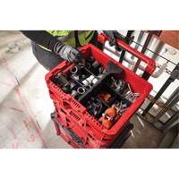 PACKOUT Low-Profile Crate, 15" x 18-5/8" x 6-5/8", Black/Red PB Rental Co. Ltd.