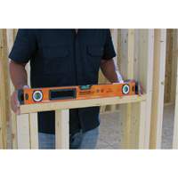 Niveau avec embouts de protection, Boîte, 2' lo, Aluminium, 3, Magn&eacute;tique PB Rental Co. Ltd.