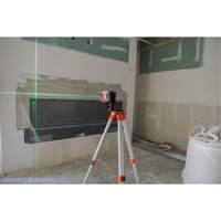 Niveau laser &agrave; lignes crois&eacute;es et 2 points GreenBrite&reg; PB Rental Co. Ltd.