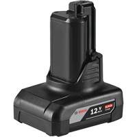 12V MAX Cordless Tool Battery, Lithium-Ion, 12 V, 6 Ah PB Rental Co. Ltd.