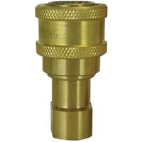 RACCORD HYDRAULIQE FERME2VOIES,1/4NPT,LAITON, Laiton/Acier inoxydable PB Rental Co. Ltd.