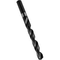 Foret s&eacute;rie courte, Acier rapide, 0,8 mm, 30 mm lo, 10 mm Cannelure, 118° Angle PB Rental Co. Ltd.